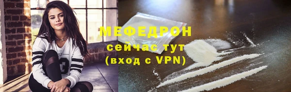 шишки Надым