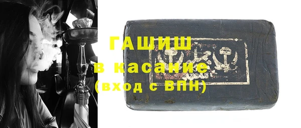 шишки Надым