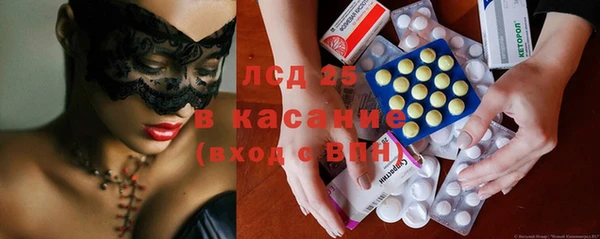 шишки Надым