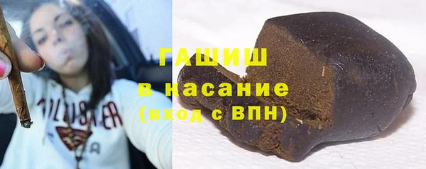 шишки Надым