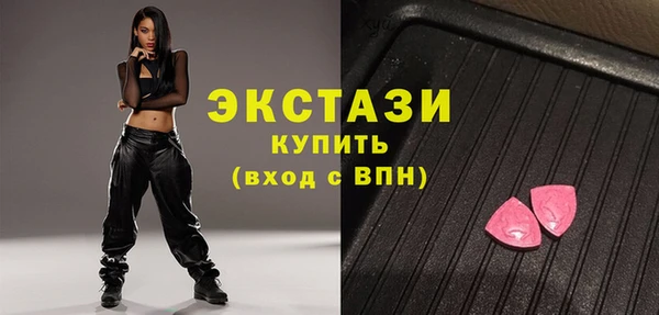 шишки Надым