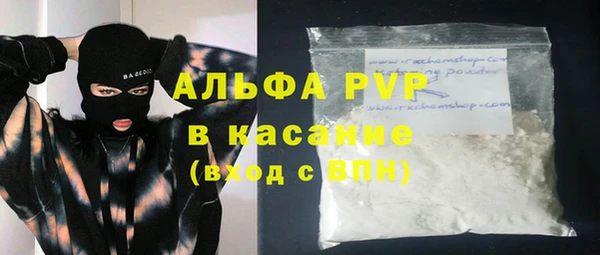 шишки Надым