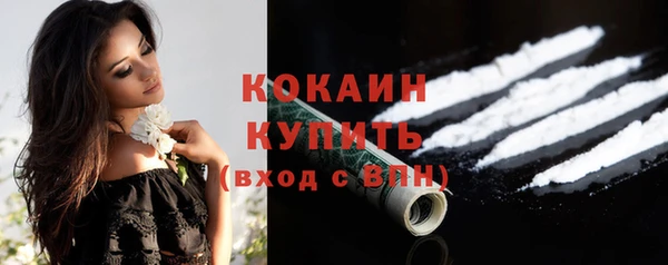 шишки Надым