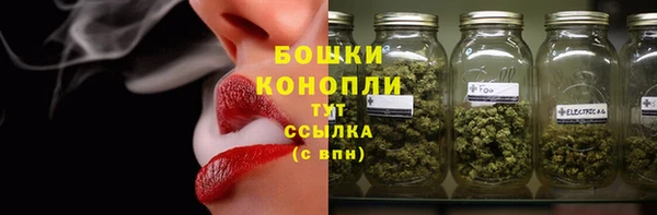 шишки Надым