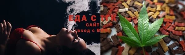 шишки Надым