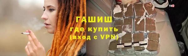 шишки Надым