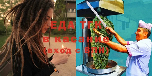 шишки Надым
