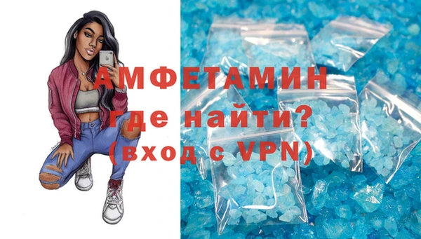 шишки Надым