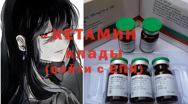 шишки Надым