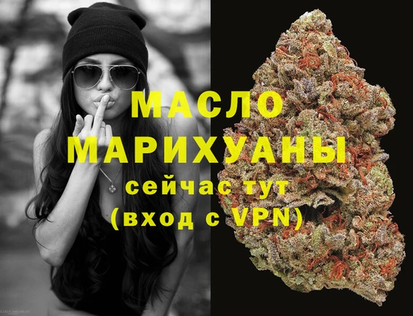 шишки Надым