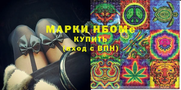 шишки Надым