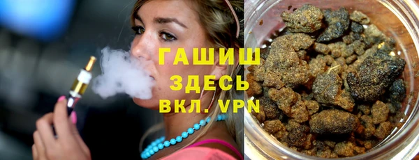 шишки Надым