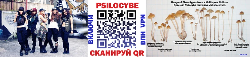гидра ССЫЛКА  Ртищево  Псилоцибиновые грибы мицелий 